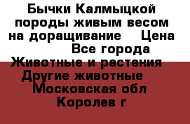 Бычки Калмыцкой породы живым весом на доращивание. › Цена ­ 135 - Все города Животные и растения » Другие животные   . Московская обл.,Королев г.